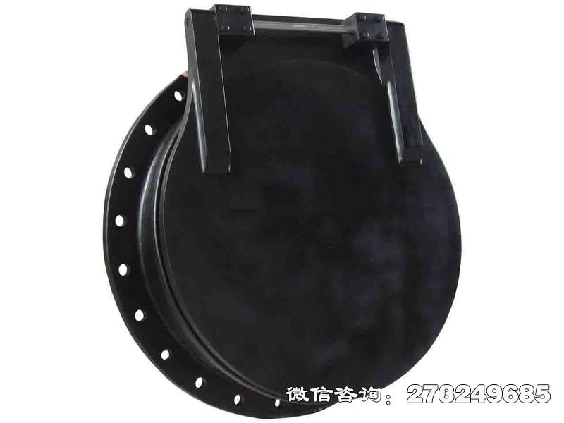 永寿县pgz铸铁拍门